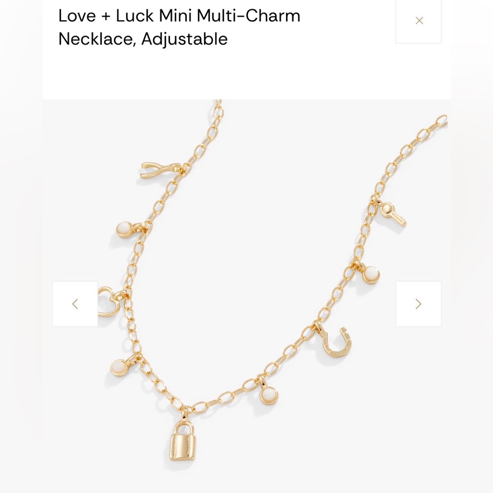 Alex and Ani Adjustable Love + Luck Mini Multi-Charm Necklace - Gold NWOT